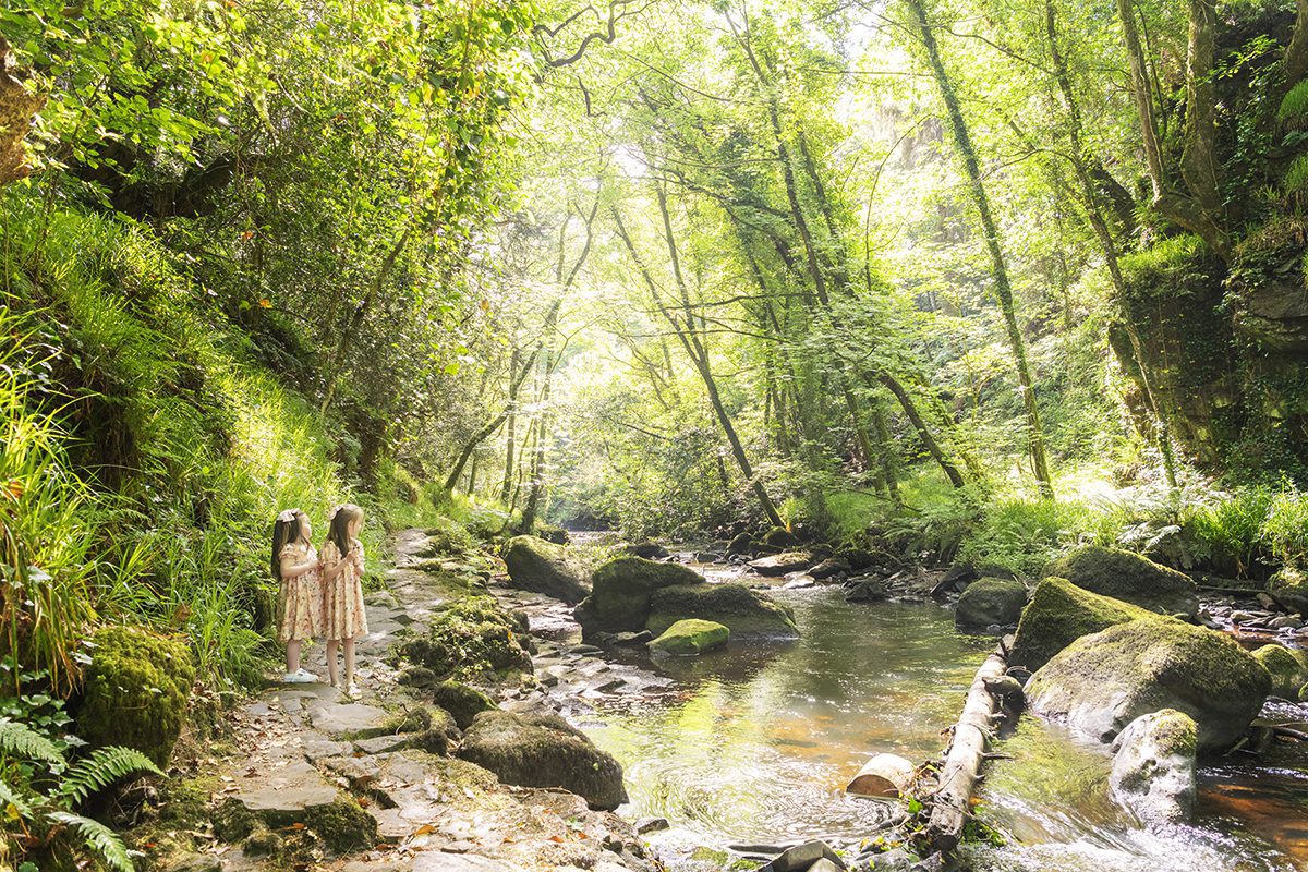 best locations for photos in Ireland, clare glens, 